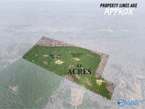 Gadsden Land with Hunting Potential