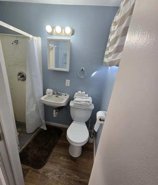 Picture 13