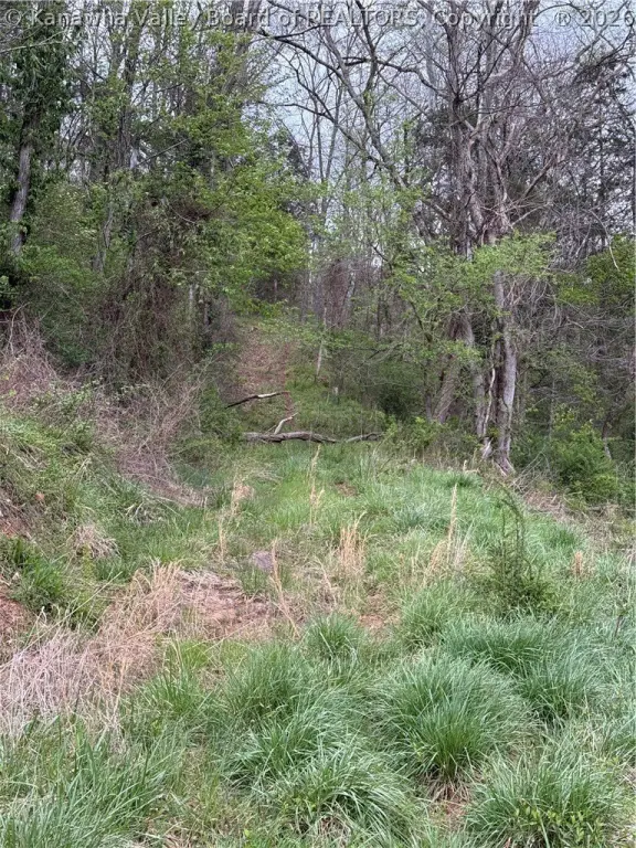 Picture 14