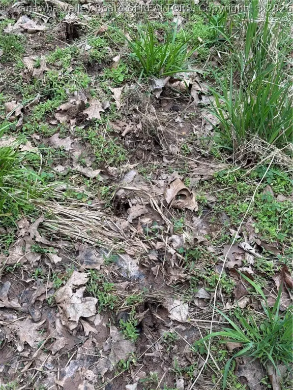 Picture 24