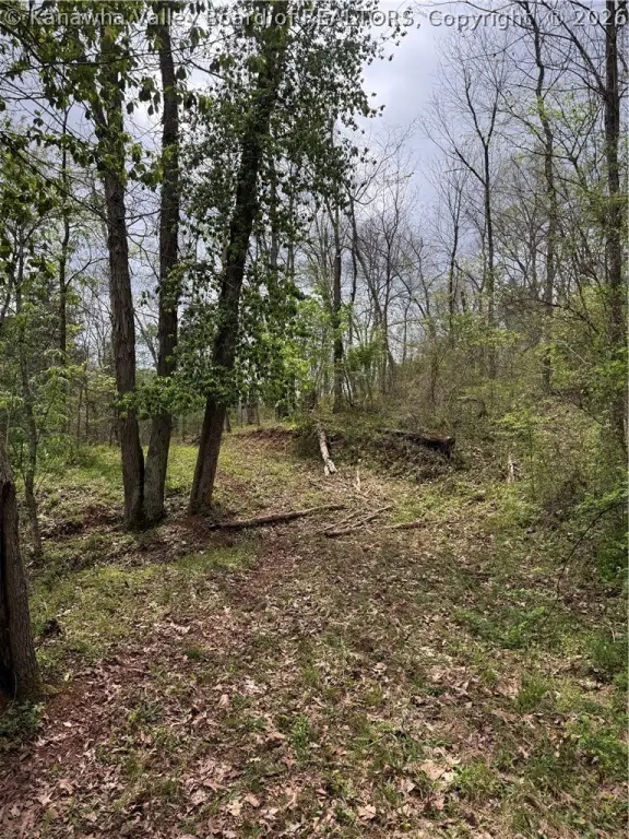 Picture 22
