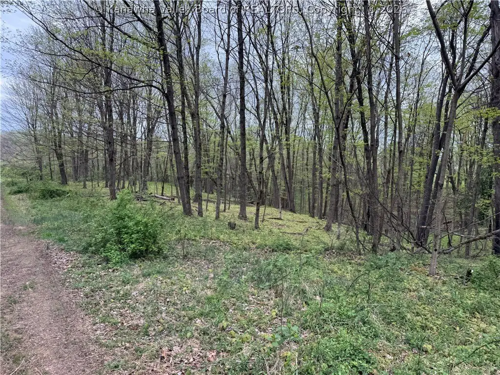 Picture 5