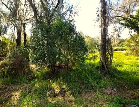 AUBURNDALE, FL Land Parcel