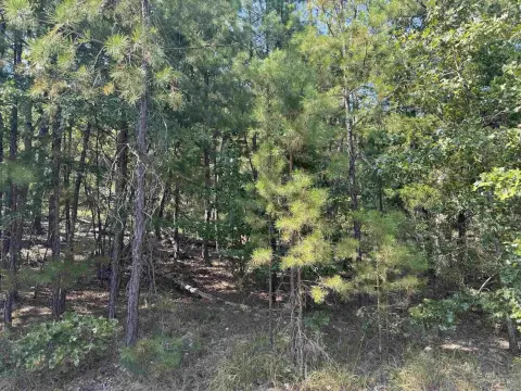 Hot Springs Village Wooded Lot