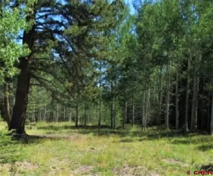 Arrowhead One Acre Lot