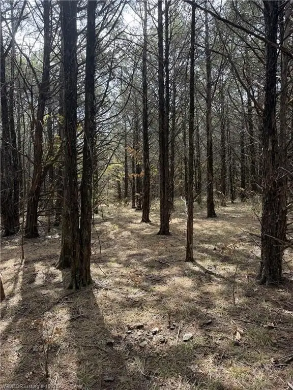 Picture 14
