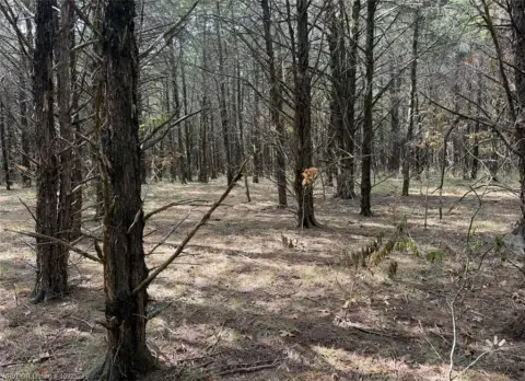 Wooded Hunting Land