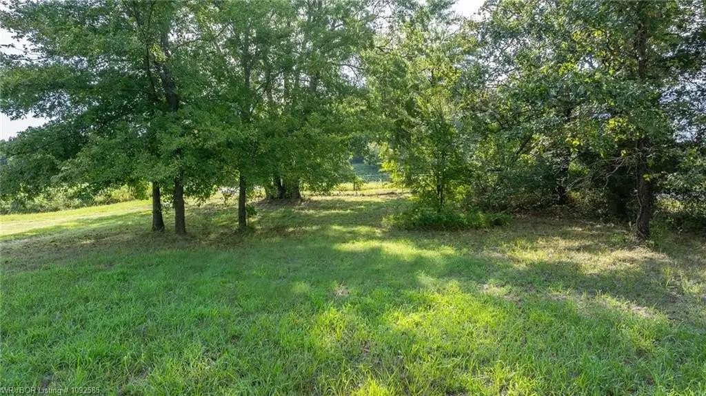 Picture 21