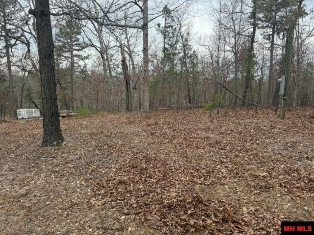 Picture 9