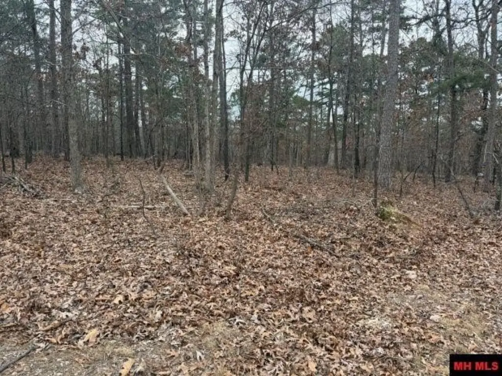 Picture 14