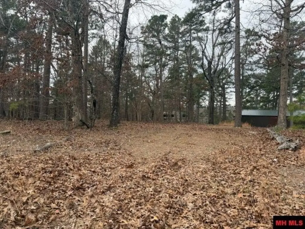 Picture 3