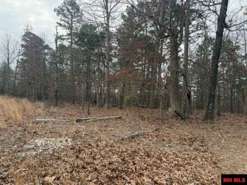 Picture 13
