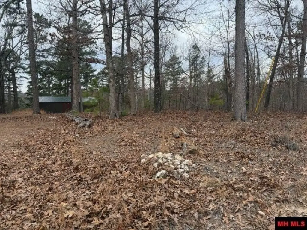 Picture 4