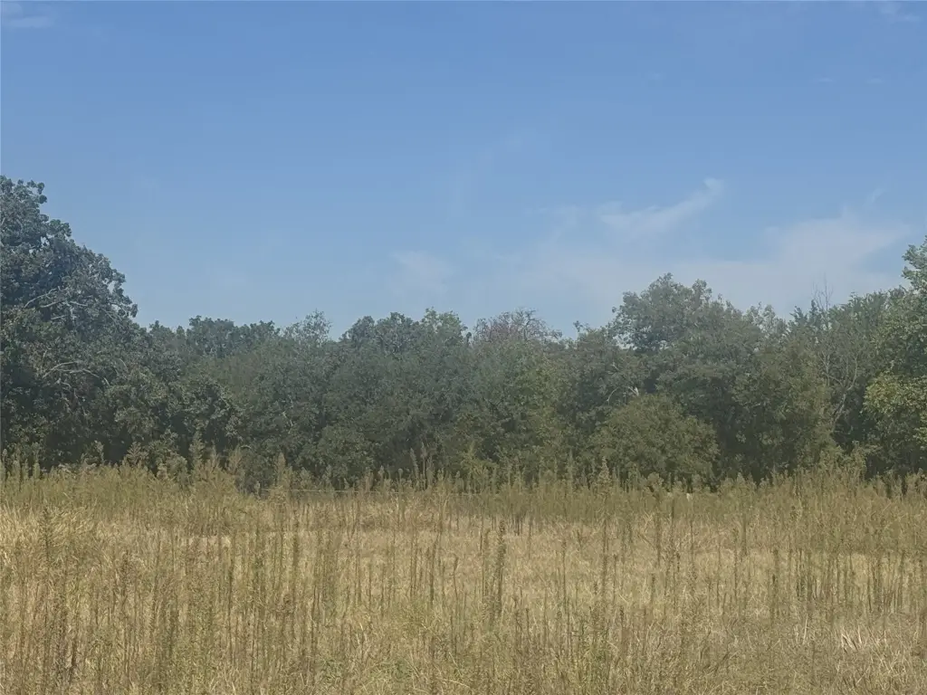 Picture 3