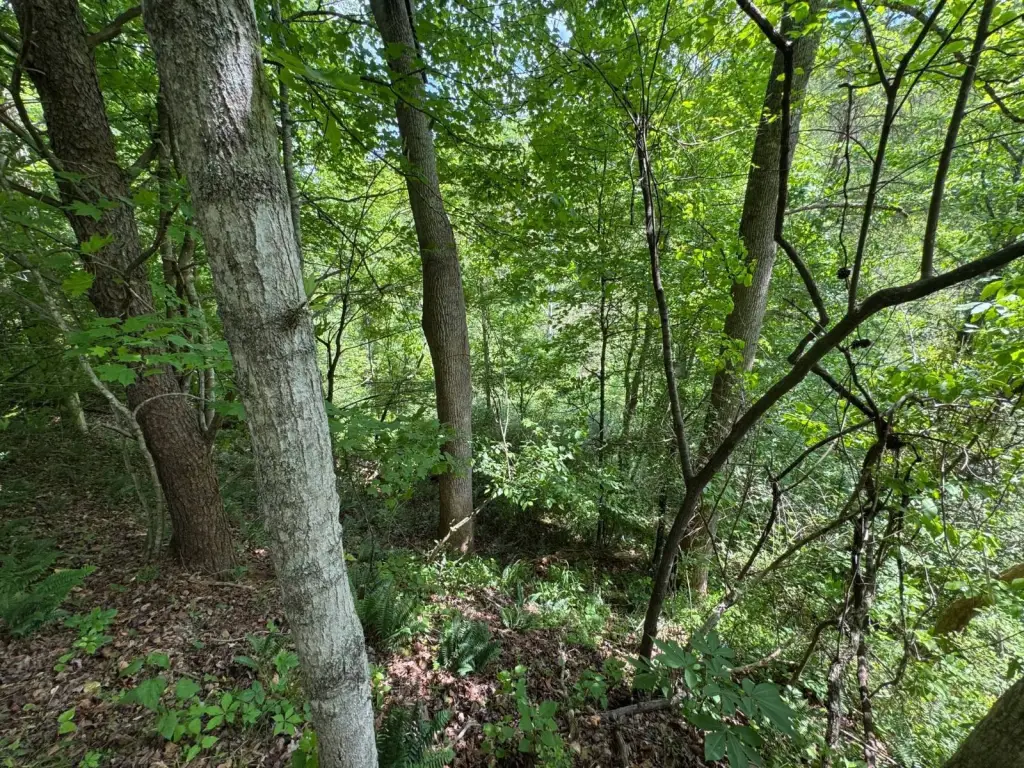 Picture 8