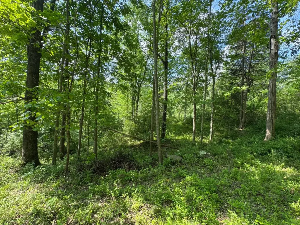 Picture 19