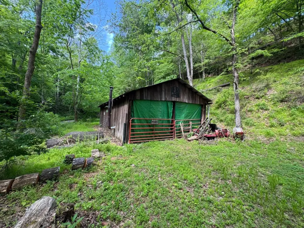 Picture 16