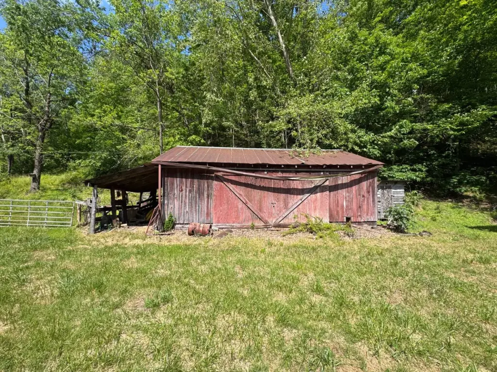 Picture 6