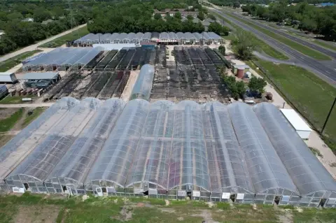 Turn-Key Waco Wholesale Plant Nursery