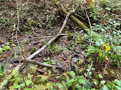 Land in Dodgen Ridge Estates