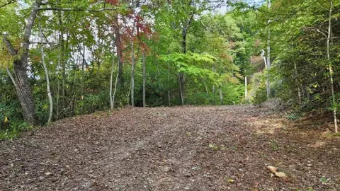 2.33 Acres with Mountain Views