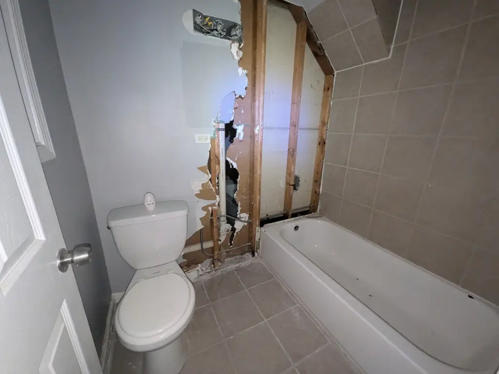 Picture 17