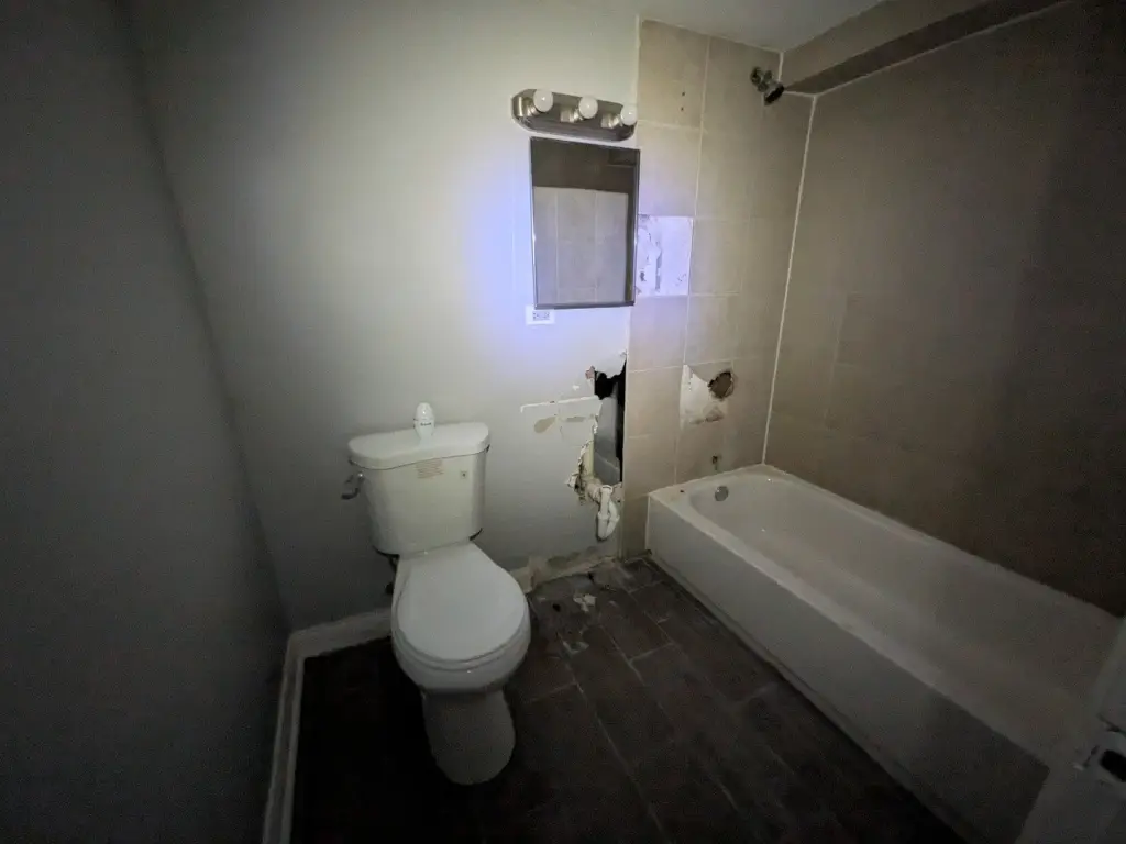 Picture 5