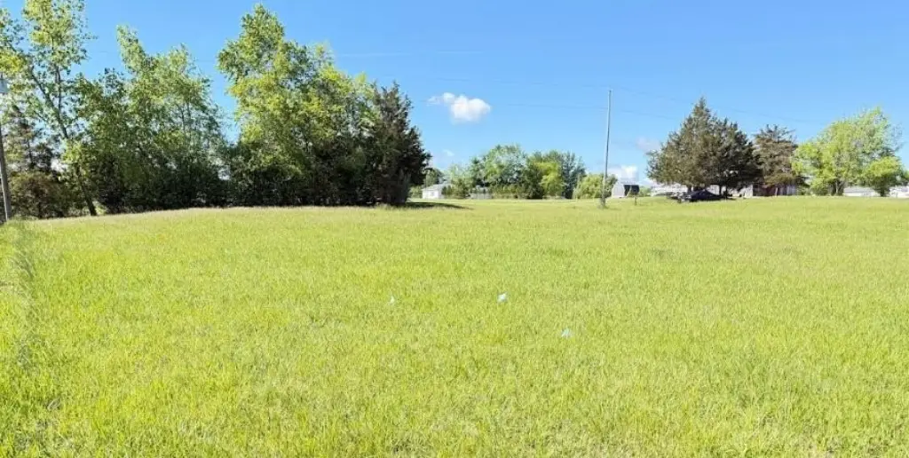 Picture 5