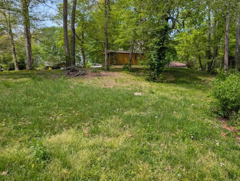 Picture 4