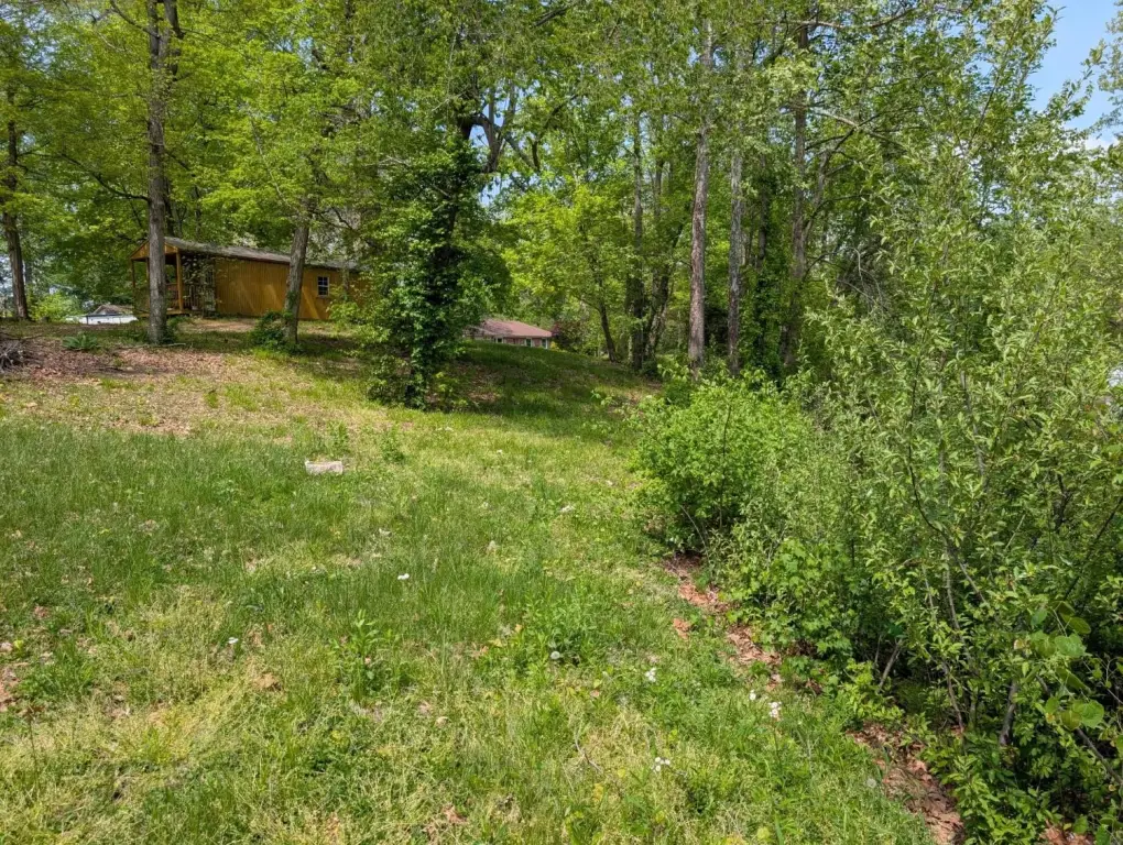 Picture 3
