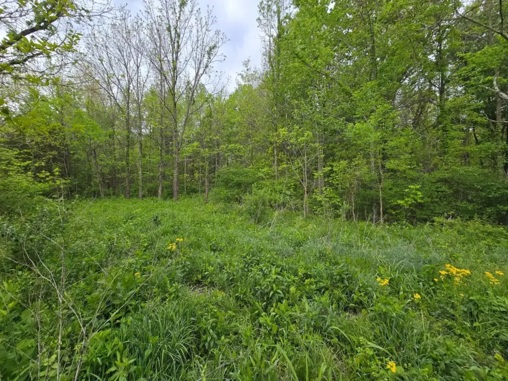 Picture 2