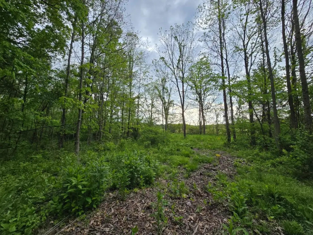 Picture 4
