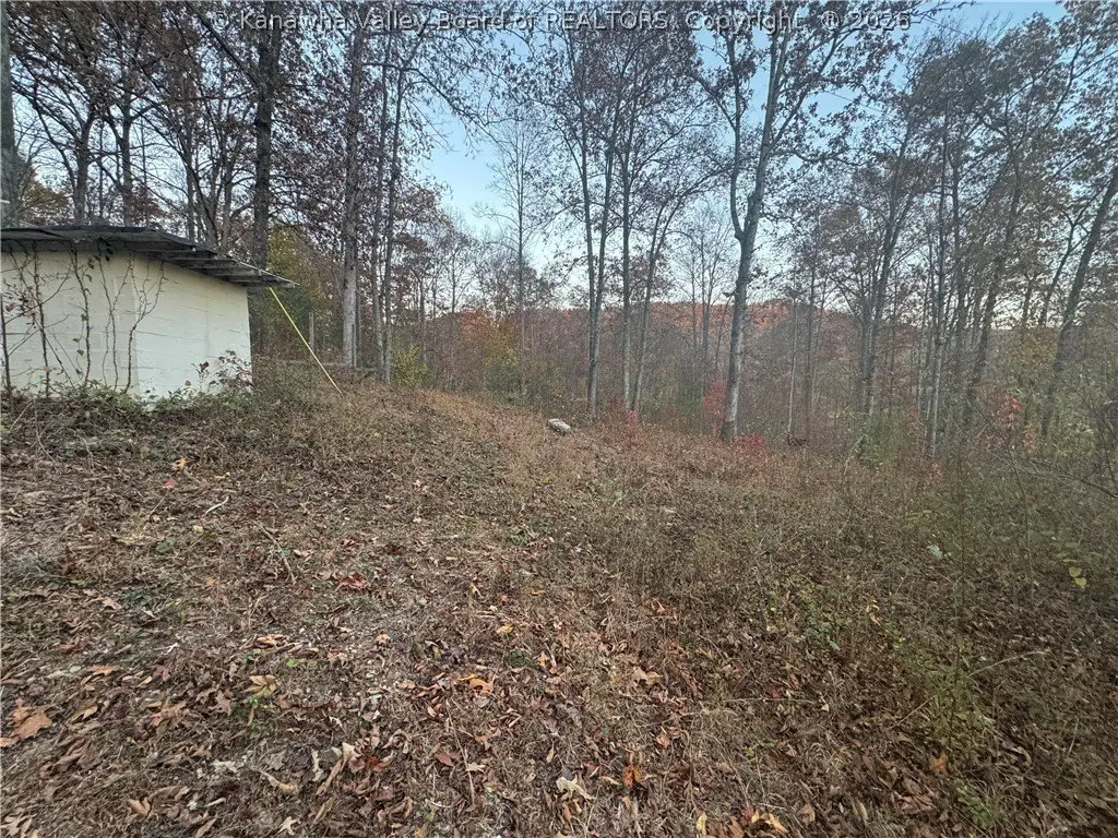 Picture 13