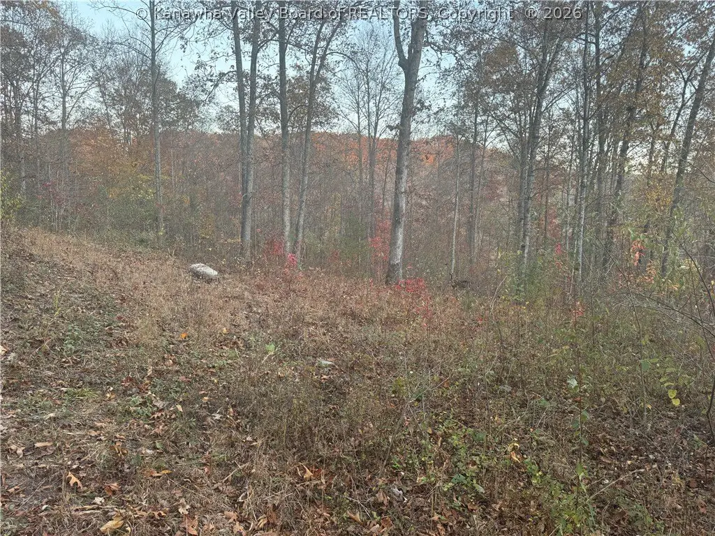 Picture 14