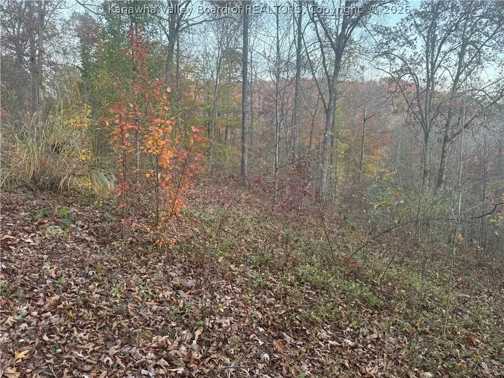 Picture 18