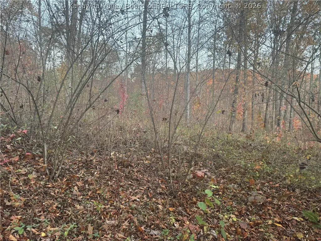Picture 10