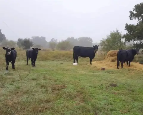 Eastland, TX Land Opportunity