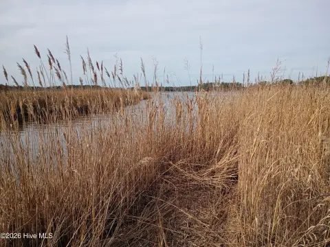 Waterfront Land in Aurora, NC