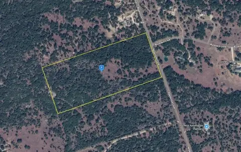 35.3 Acres of Wooded Land