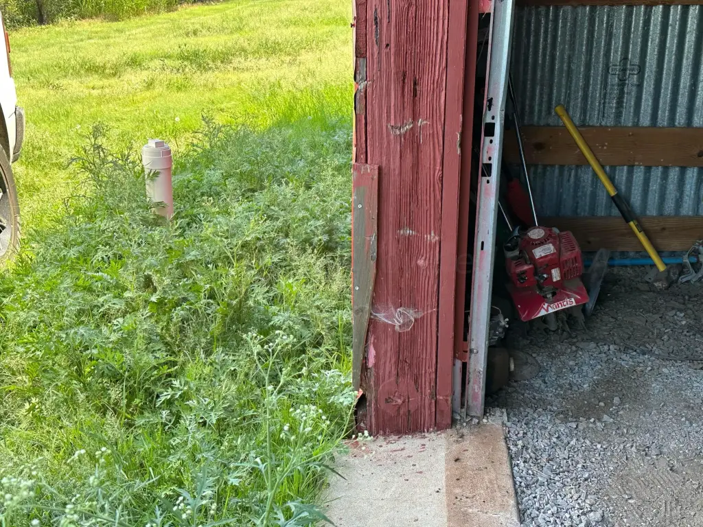 Picture 36