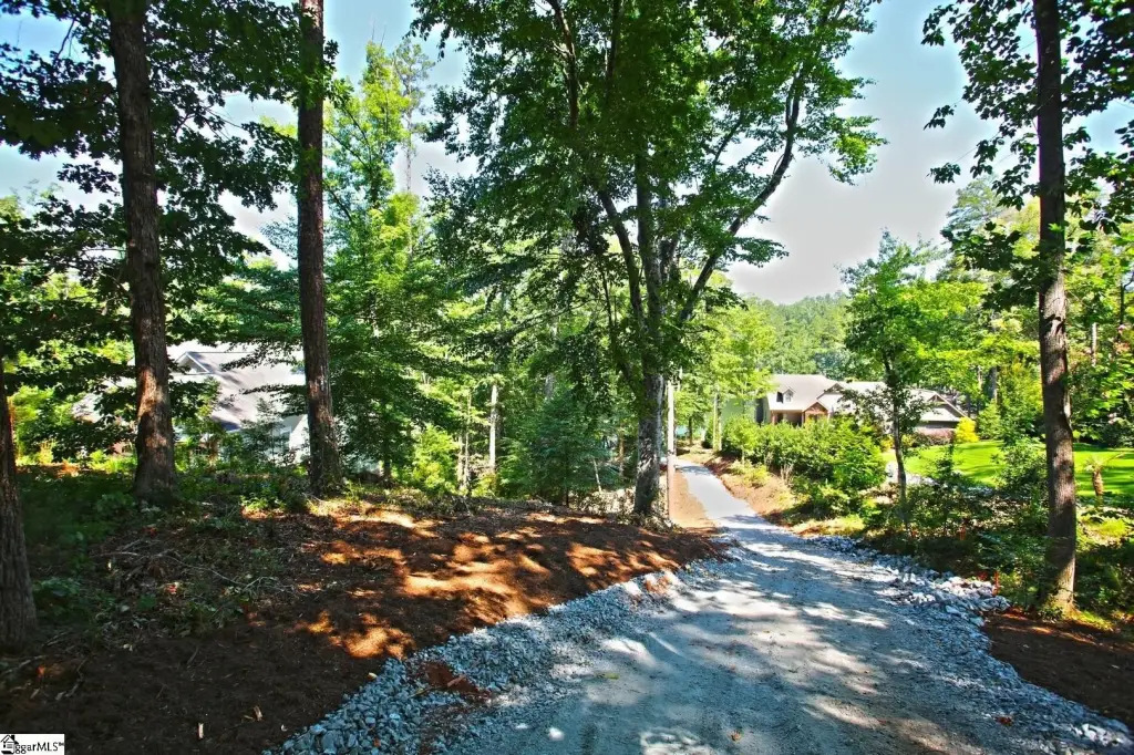 Picture 31