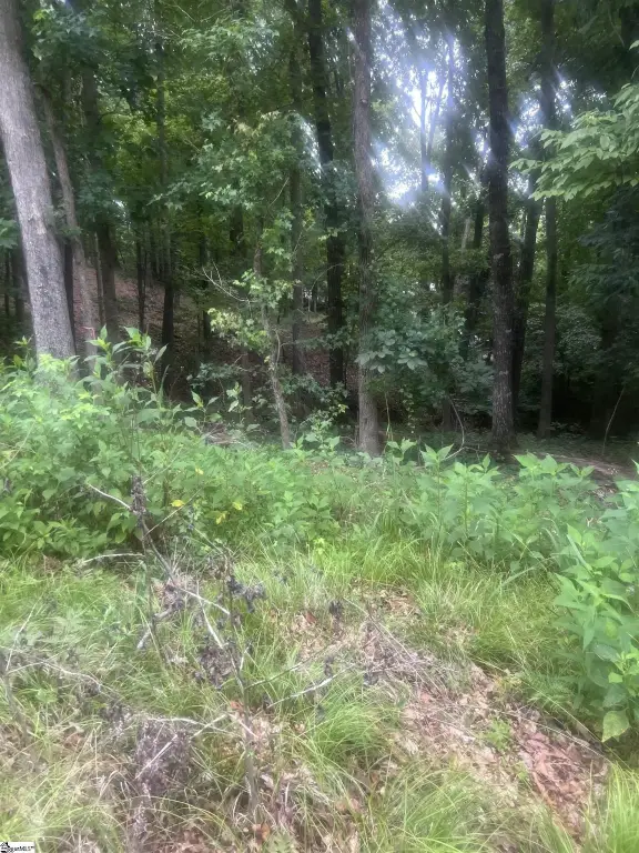 Picture 25