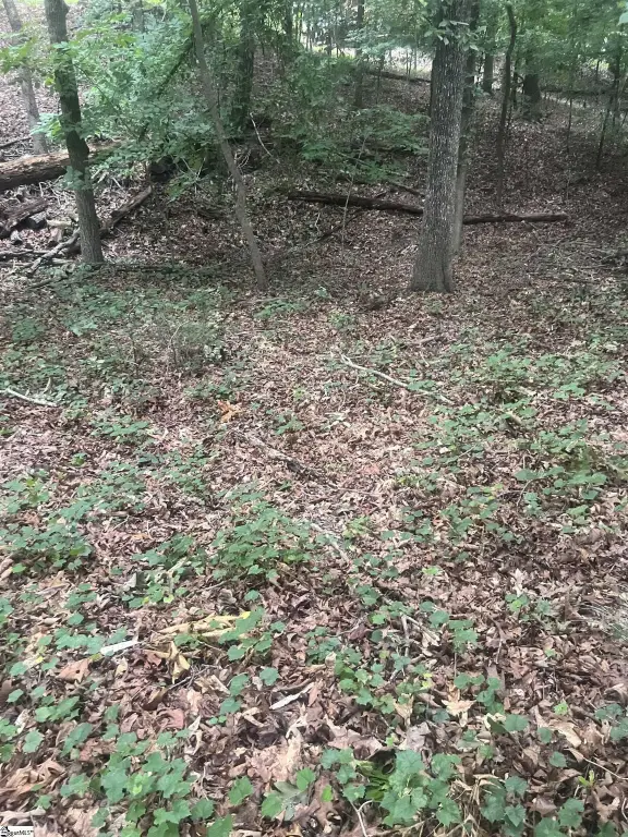 Picture 23