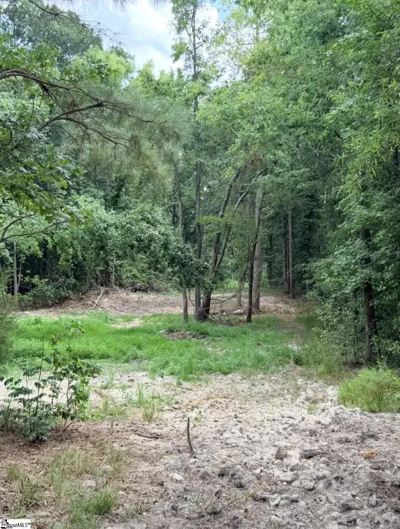 Picture 19
