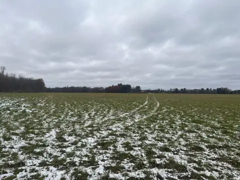 40 Acres Near Lakeview, MI