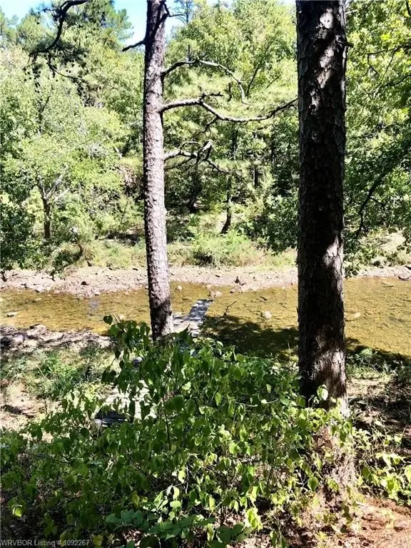 Picture 13