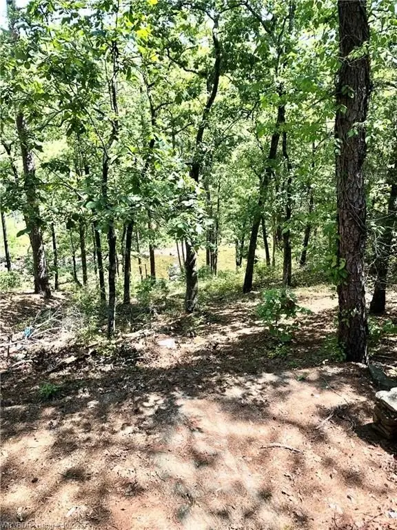 Picture 15