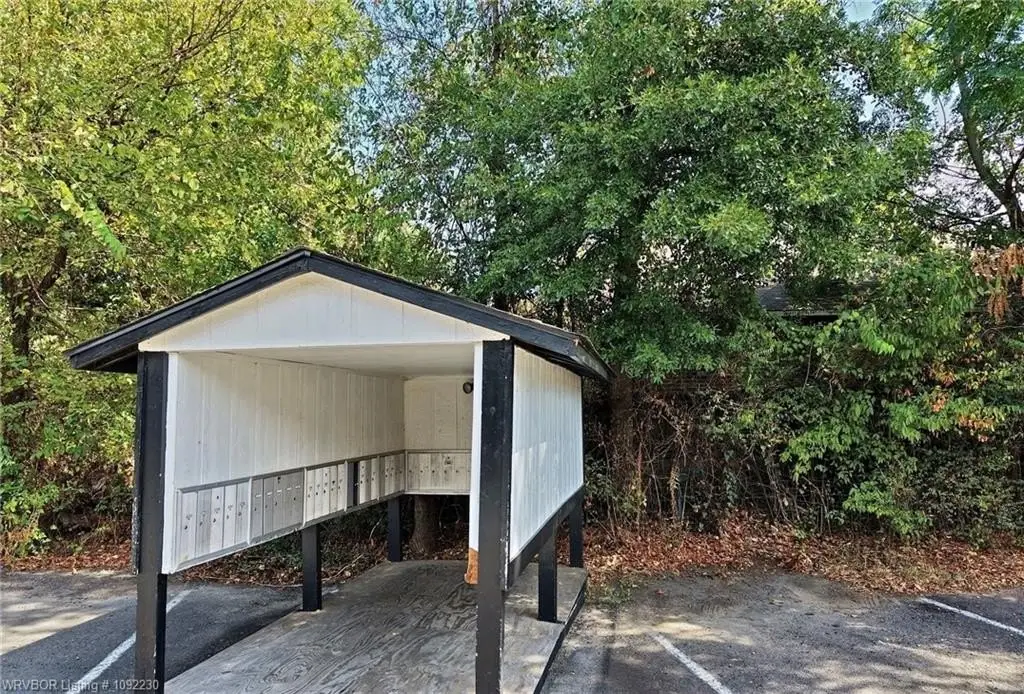Picture 19