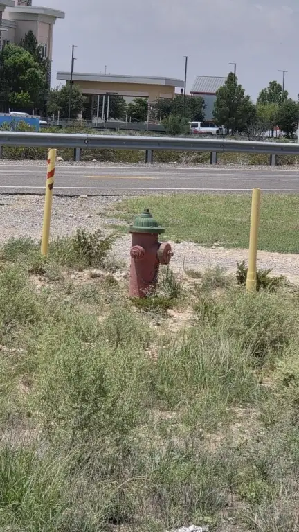 Picture 10