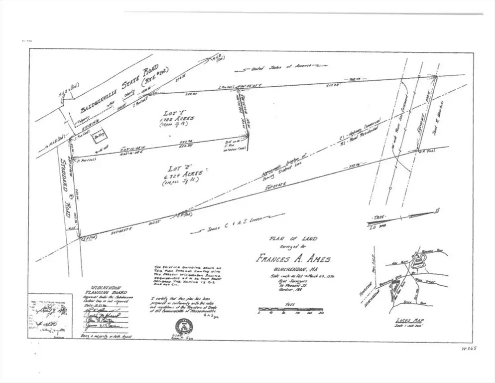 Picture 6